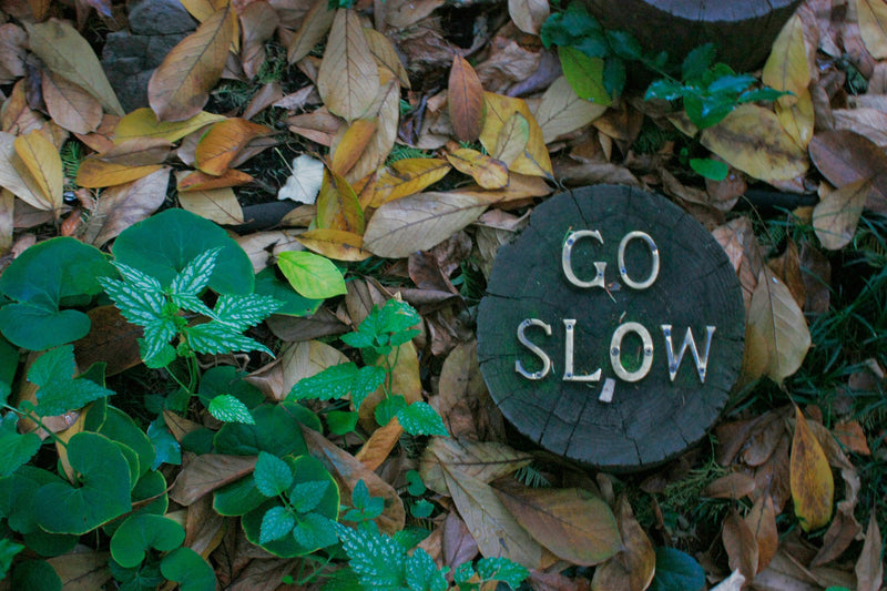 Finding Balance Amid City Chaos: My Journey to Holistic Wellness - ARUM.CARE