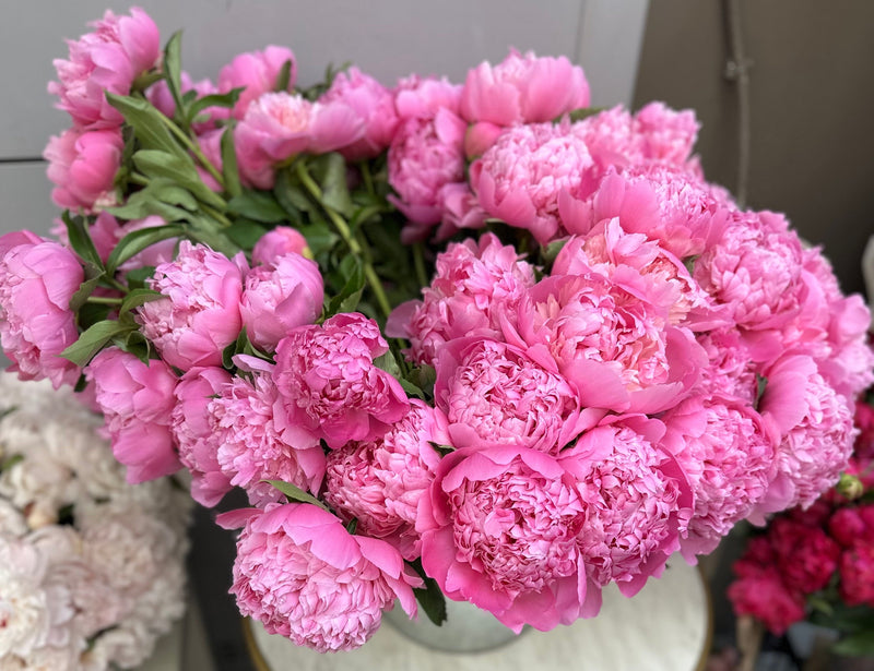 I Almost Bought a Bouquet, Gave Up, and Went Home