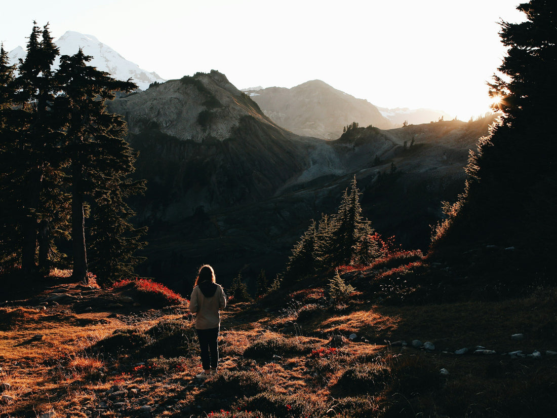 La phase lutéale : Votre automne intérieur, ses mystères dévoilés - ARUM.CARE