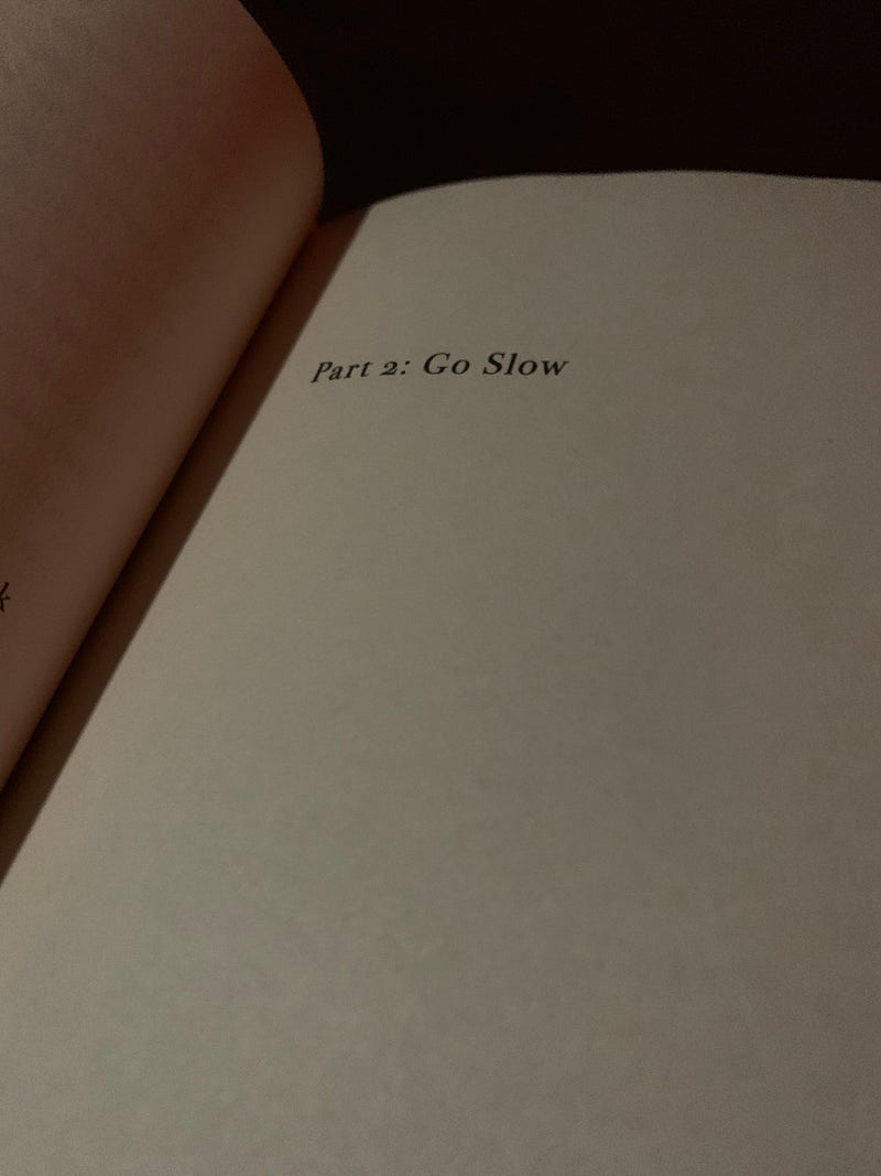 The Art of Going Slow: Finding Balance in a Rapid World - ARUM.CARE